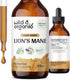 Lions Mane Liquid Extract - Organic Lions Mane Mushroom Supplement - Lion’s Mane Tincture - Vegan, Alcohol Free Drops - 4 fl oz...