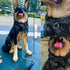Durable Walking Dog Training Collar, Strong Stainless Steel Chain for Small Middle Dogs Black Color?15mm,18“?...