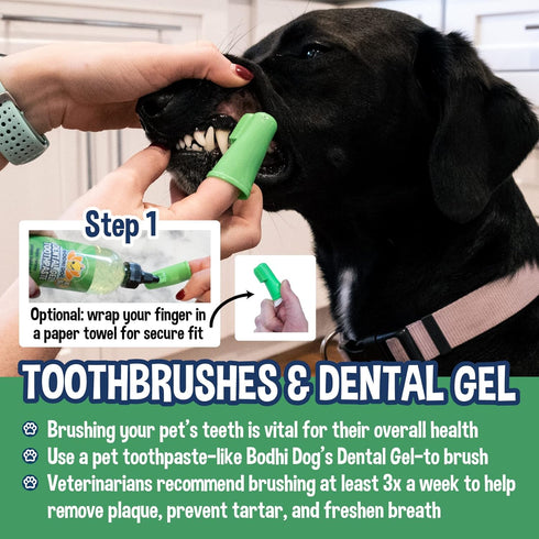 Bodhi Dog Finger Toothbrush for Dogs & Cats | Puppy Toothbrush with Soft & Flexible Silicone Bristles for Pet Dental Care | Easy Teeth Cleaning Do...