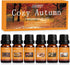 SALUBRITO Fall Essential Oils Set, Autumn Fragrance Oil for Diffuser, Candle Making, Aromatherapy Oils Gift - Cinnamon, Pumpkin Spice, Vanilla, Sn...