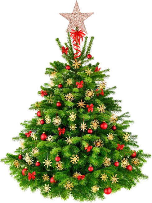 BinaryABC Christmas Tree Topper Star,Glittering Christmas Tree Decoration Ornaments,20cm (Rose Gold)...