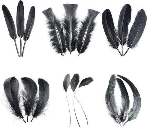 Larryhot Black Craft Feathers Bulk - 240pcs 6 Style Mixed Natural Feathers for Wedding Home Party, Dream Catcher Supplies and DIY Crafts (Black)...