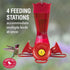 Perky-Pet 203CPBR Pinchwaist Hummingbird Feeder, Red Glass...