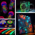Roizefar Fabric Paint, 10 Colors Glow in the Dark Paint, 3D Permanent Acrylic Textile Paint (20 ml/0.68 oz), Neon Craft Painting Fabric Paint for ...