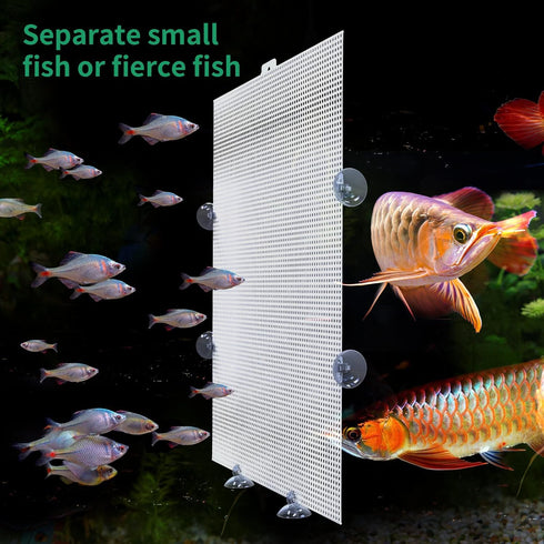 2 Pack Fish Tank Divider, Plastic Grid Cuttable Grid Plate Fish Separator with 12 Suction Cups DIY Designed Clear Easy to Bent 17 * 13in...