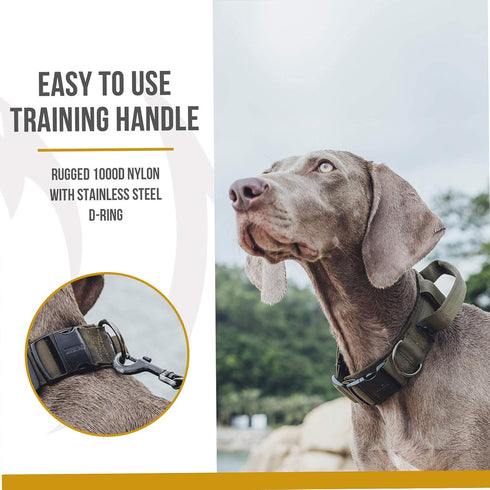 Tough Dog Collars, Tactical Dog Collar with Handle, Milltary Adjustable Dog Collar with Heavy Duty Metal Buckle for Training (Large(Pack of 1), Gr...