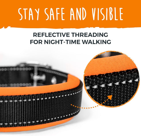 Mighty Paw Ultra Soft Dog Collar - Ultimate Comfort with Soft Neoprene Padding - All-Metal Adjustable Buckle for Large & Small Dogs - Mighty Stron...