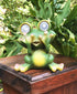Solar Powered Frog Outdoor LED Garden Light Decor (SEE - NO)...