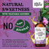 Echinacea Drops - Organic Echinacea Tincture - Echinacea Root Supplement - Vegan, Alcohol Free - 2 fl oz...