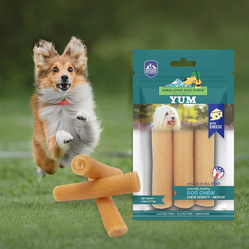 Himalayan Dog Chew Yak Cheese Dog Chews, 100% Natural, Long Lasting, Gluten Free, Healthy & Safe Dog Treats, Lactose & Grain Free, Protein Rich, M...