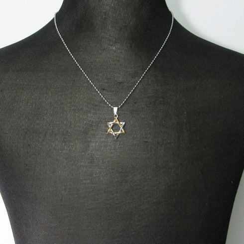 Stainless Steel Jewish Star of David Pendant Necklace Silver Gold Tone...