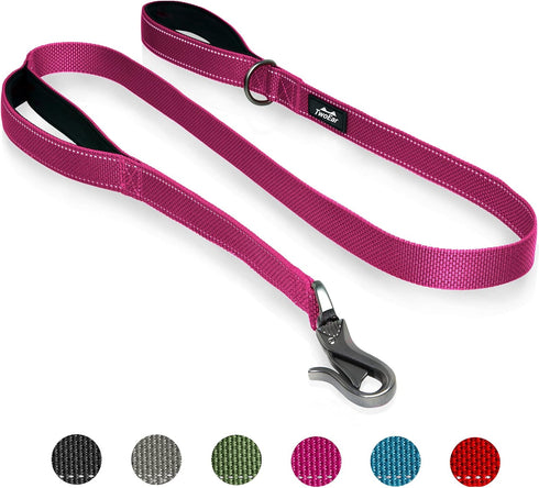 TwoEar 4FT 1IN Strong Rose Dog Leash with 2 Padded Handles, Traffic Handle Extra Control, Comfortable Soft Dual Handle, Auto Lock Hook, Reflective...