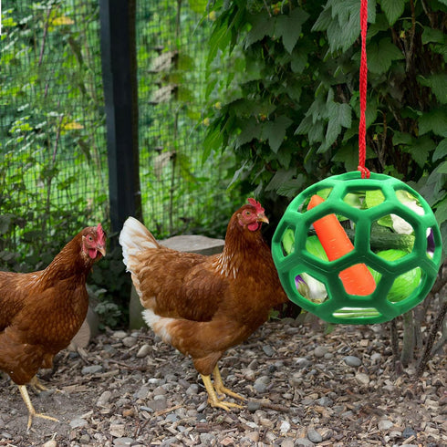 2pcs Chicken Vegetable Feeder Ball Hanging Feeding Toy, Poultry Fruit Holder Chicken Cabbage Feeder Treat Feeding Tool for Hens Chicken Coop Goose...