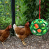 2pcs Chicken Vegetable Feeder Ball Hanging Feeding Toy, Poultry Fruit Holder Chicken Cabbage Feeder Treat Feeding Tool for Hens Chicken Coop Goose...