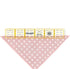 Omnigrid 1 x 6, Clear Quilting and Sewing R1 1 6-Inch Ruler, 1" x 6", Yellow...