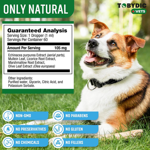Natural Dog Cough Medicine & Antibiotic for Cats Respiratory Infection - Sneezing Relief & Kennel Cough Treatment - Trachea Collapse & Pet Asthma ...