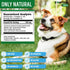 Natural Dog Cough Medicine & Antibiotic for Cats Respiratory Infection - Sneezing Relief & Kennel Cough Treatment - Trachea Collapse & Pet Asthma ...