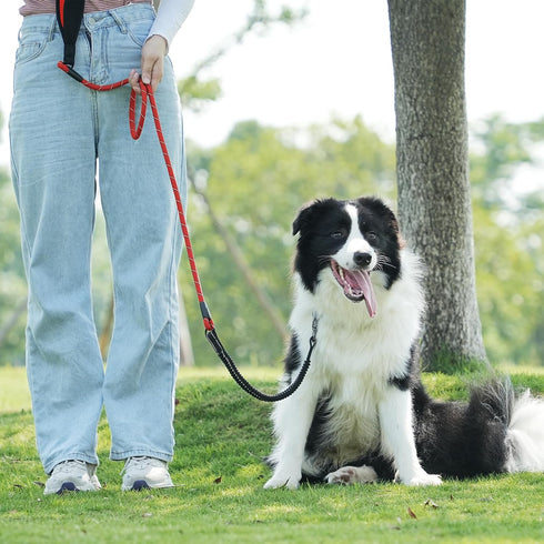 NTR Dog Leash Long, Pet Leash with Upgrade Swivel Lockable Hook & Ergonomic Padded Handle, Reflective Bungee Red Nylon Dog Leash for Walking, Hunt...