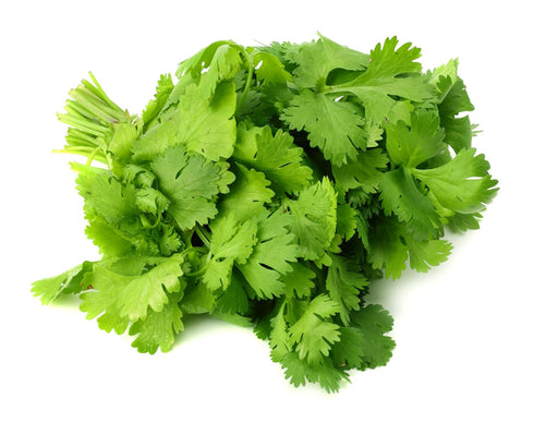 Culinary Herb Seeds Collection, 4 Heirloom Non GMO Varieties, Basil, Cilantro, Dill, Parsley....