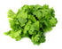 Culinary Herb Seeds Collection, 4 Heirloom Non GMO Varieties, Basil, Cilantro, Dill, Parsley....