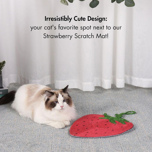 Handcrafted Cat Scratcher Mat (1pc), Natural Sisal Cat Scratch Pad, Durable and Non-Slip, Cute Hanging Mat (Cactus, Strawberry, Eggplant) (Cactus)...