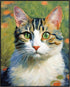 Posterizer 1 pcs- Beautiful white cat in nature-Art for Animal Lovers-Floral Botanical Art- Gift for Men Women Entrepreneur Teens-Decor for Home &...