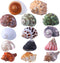 14PCS 14 Kind Natural Hermit Crab Shells Size 1" - 3.5", Opening 0.8" - 1.5" Hermit Crab Supplies Pearl Turbo Seashell for Décor...