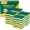 ORIGHTY Heavy Duty Cellulose Scrub Sponges Kitchen, Powerful Scrubbing & Cleaning, Suitable for Washing Dishes and Kitchen Cleaning, Absorbent & R...
