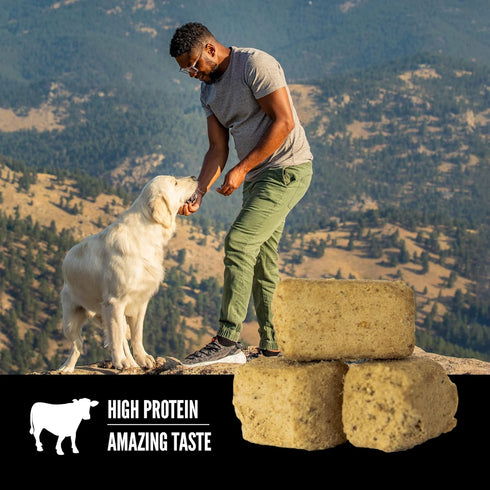 ORIJEN® Freeze Dried Dog Treats, Grain Free, High Protein, Raw Animal Ingredients, Ranch-Raised Beef, 3.25oz...