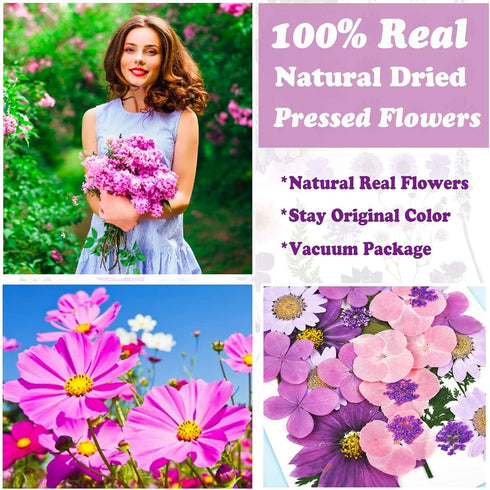 92 Pcs Purple Dried Pressed Flowers Real Natural Leave Petals for DIY Resin Candle Jewelry Nail Crafts...
