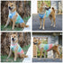 Dog and Cat Shirt in Tech Fabric, Pet Clothes for Large, Medium, and Small Dogs, 2-Pack of Lightweight Sports t-Shirts...