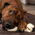 Pet Factory American Beefhide 6-7" Knotted Bones Dog Chew Treats - Natural Flavor, 3 Count/1 Pack...