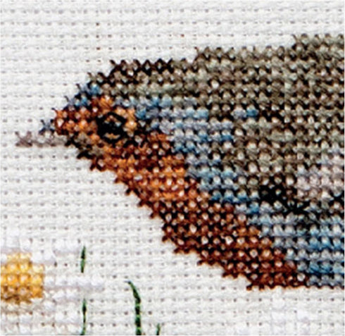 Thea Gouverneur - Counted Cross Stitch Kit - Summer Robin Bird - Aida - 16 count - Embroidery Kit for Adults - DMC Embroidery Threads and other Cr...