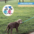 BAAPET 2 Packs 5/6 FT Dog Leash with Comfortable Padded Handle and Highly Reflective Threads Dog Leashes for Small Medium and Large Dogs (5FT-1/2'...