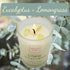 Soy Candles with Healing Crystals. Citrine, Rose Quartz, Amethyst Crystal. Eucalyptus + Lemongrass, Jasmine + Sandalwood, Clary Sage + Lavender. 3...