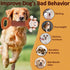 Large Squeaky Dog Toys, Interactive Plush Toys for Tug of War, Crinkle Dog Toy Suitable for Small, Medium and Big Dog Breeds (Monkey)...