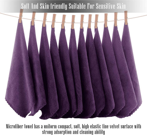 TENSTARS 12 Pack Premium Washcloths Set - Quick Drying- Soft Microfiber Coral Velvet Highly Absorbent Wash Clothes - Multipurpose Use as Bath, Spa...