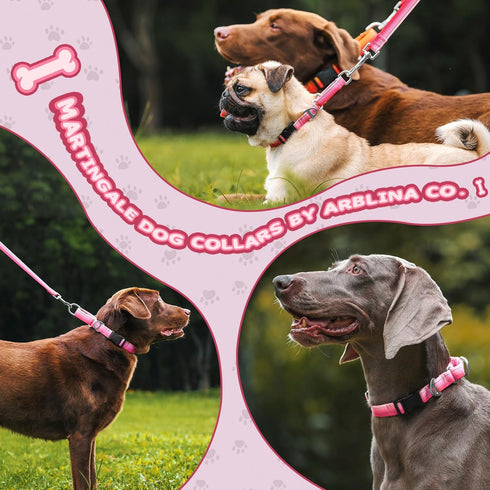 Martingale Dog Collar Pink Light-Reflective Polyester Collars for Dogs Whippets, Greyhounds, Saluki, American Bully, No-Pull No-Escape Safety Trai...
