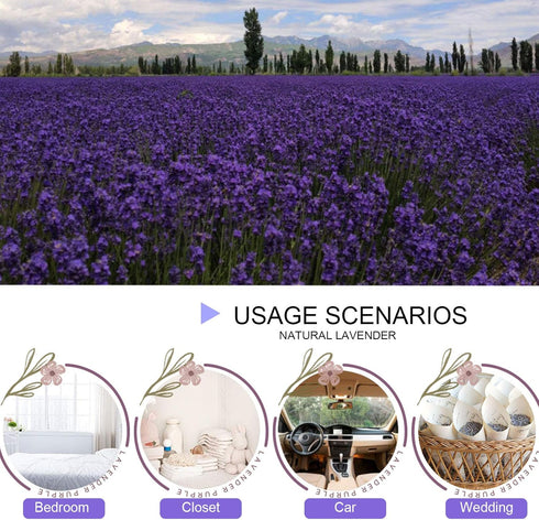 Dried Lavender Flowers, Dry Lavender Buds Bulk for Wedding Toss, Crafts, Sachets - 1/2 Pound...