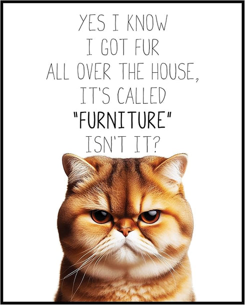 Posterizer 1 pcs-I Know I Got Fur All Over the House-for cat lovers-Comedy Art-Art for Animal Lovers-Decor for Home & Office- UNFRAMED Wall Art...