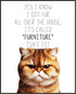 Posterizer 1 pcs-I Know I Got Fur All Over the House-for cat lovers-Comedy Art-Art for Animal Lovers-Decor for Home & Office- UNFRAMED Wall Art...