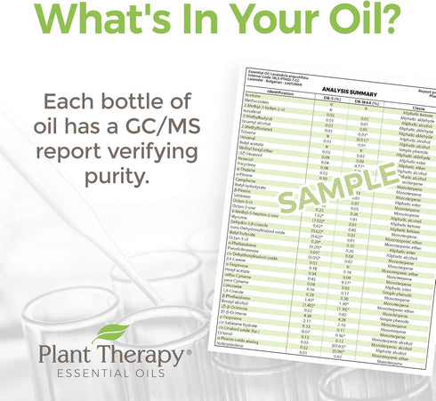 Plant Therapy May Chang (Litsea Cubeba) Essential Oil 30 mL (1 oz) 100% Pure, Undiluted, Therapeutic Grade...