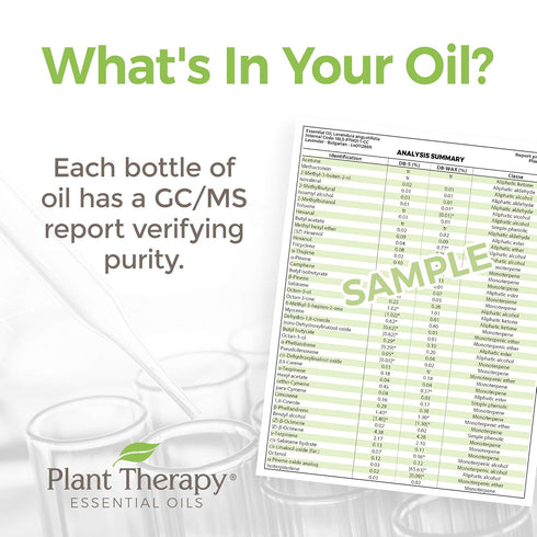 Plant Therapy Oregano Essential Oil 100% Pure, Undiluted, Natural Aromatherapy, Therapeutic Grade 30 mL (1 oz)...