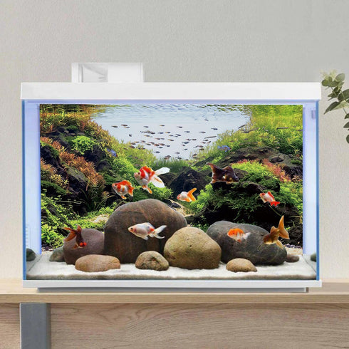 AWERT 36x20 inches Stone Aquarium Background Aquatic Plant River Bed & Lake Fish Tank Background Seaweed Fish Tank Background Vinyl Background...