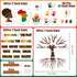 163Pcs Black History Month Tree Bulletin Board Classroom Decoration African American Inspirational Borders Cutout Black History Month Party Suppli...