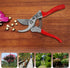 Pruning Shears for Gardening, Flower Cutting Shears, Professional Bypass Pruner Hand Shears Heavy Duty, Pruners for Stem Cutting, Garden Clippers,...