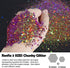 Renfio Chameleon Chunky Glitter, Mixed Fine Powder Color Shift 1.75 Oz (50g) PET Flake Orange Green Purple Glitters Sequin Resin Pigment Chip Dust...