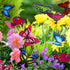VGOODALL 50PCS Butterfly Garden Decorations, 11.5 inch Butterfly Stakes Ornaments Artificial Waterproof Butterflies for Flower Bouquet Outdoor Ind...