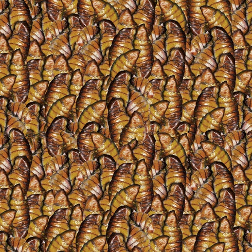 sera 7145 Koi Nature 11.6 oz 1.000 ml Pet Food, One Size...
