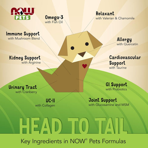 NOW Pet Health, L-Lysine Supplement, Powder, Formulated for Cats, NASC Certified, 8-Ounce...